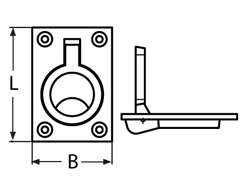 Lifting ring